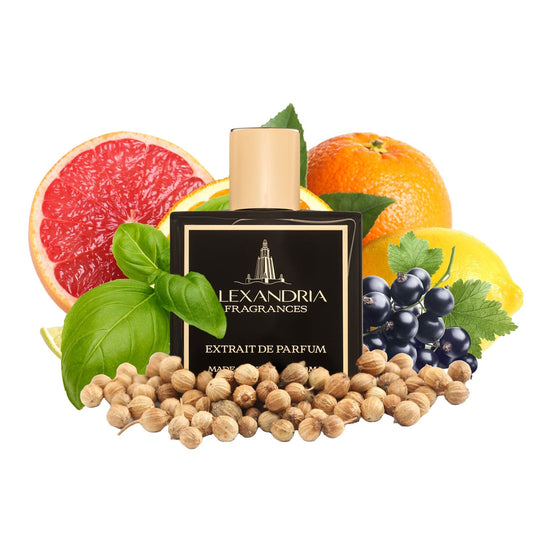 Pacific Coast Inspired By Pacific Chill