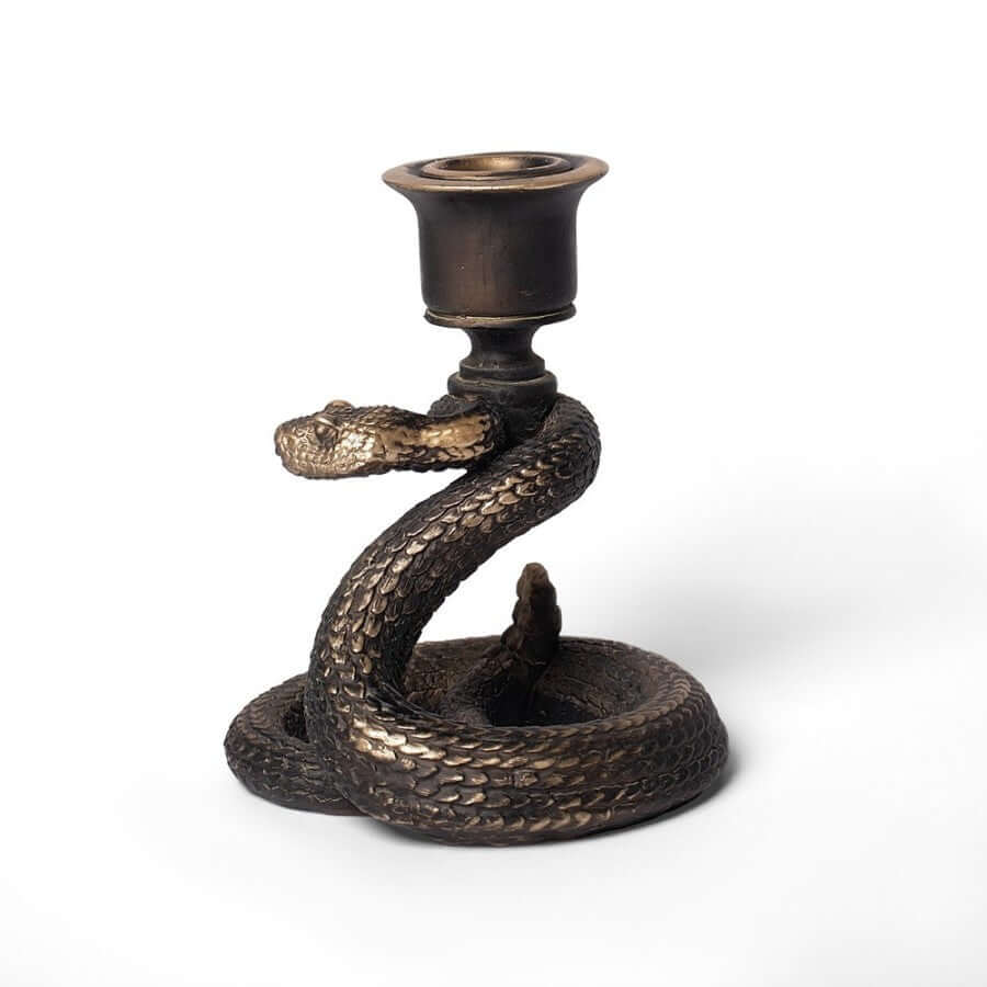 Alchemy Gothic  Death Rattle Candle Holder