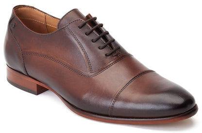 Base London ANGELO Mens Shoes Brown