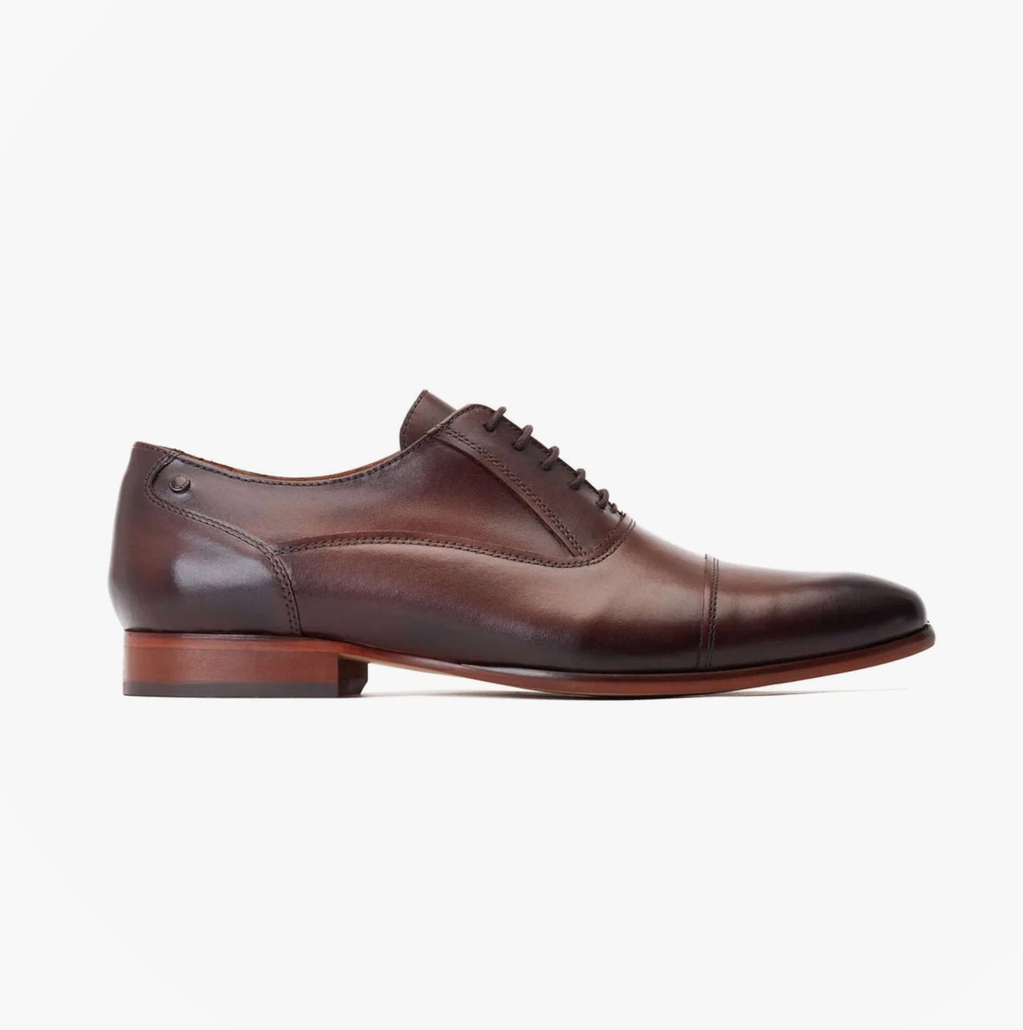 Base London ANGELO Mens Shoes Brown