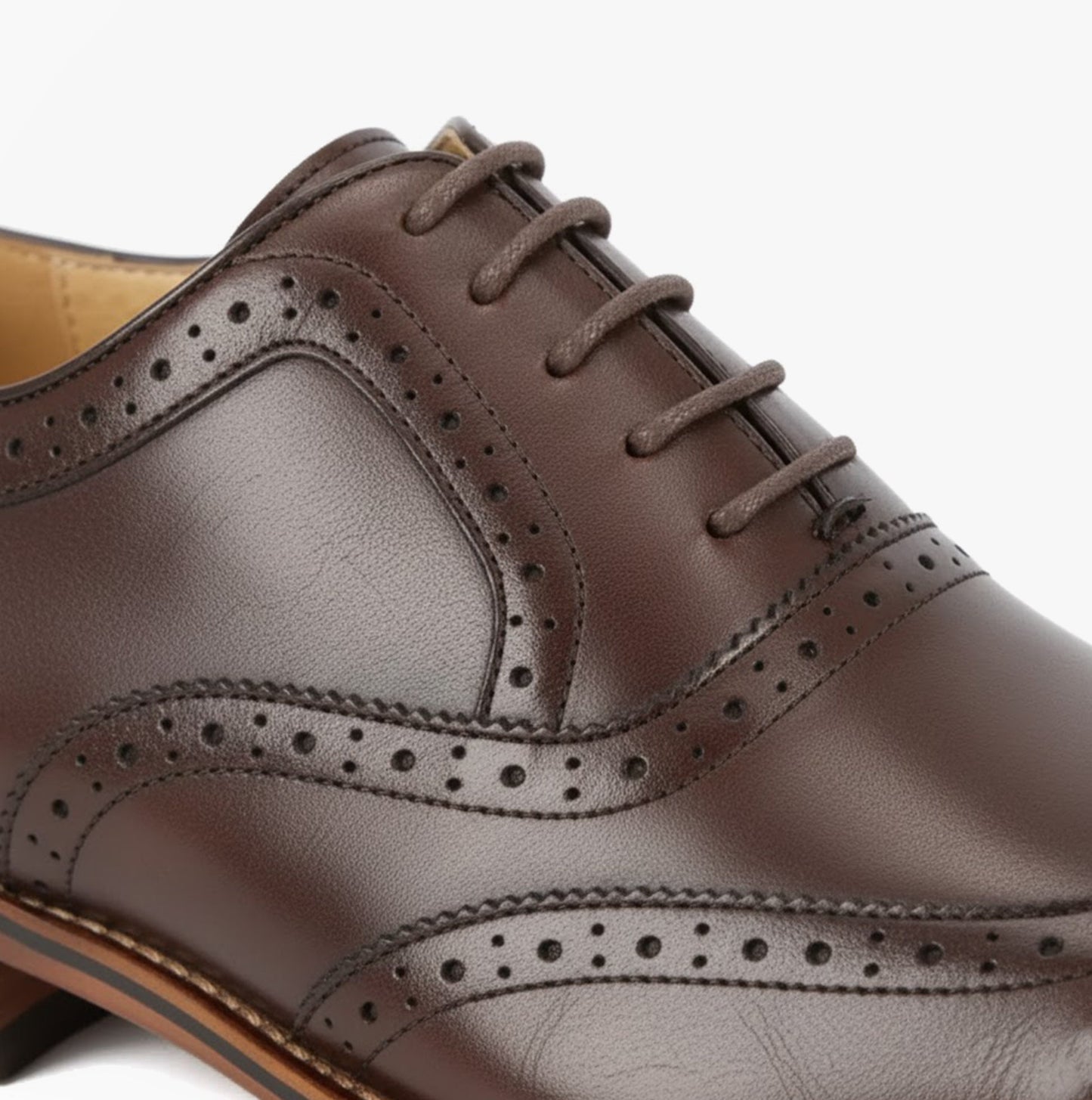 Goor M424DB Mens Shoes Dark Brown