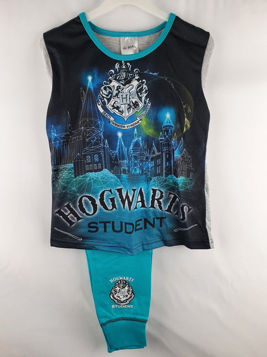 P55 HARRY POTTER