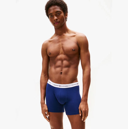 Tommy Hilfiger Mens 3 Pack Logo Waistband Boxer Briefs Multi