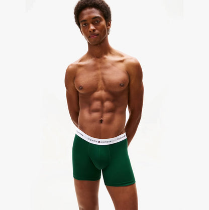 Tommy Hilfiger Mens 3 Pack Logo Waistband Boxer Briefs Multi