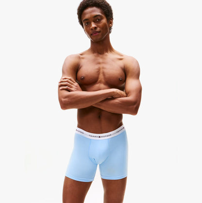 Tommy Hilfiger Mens 3 Pack Logo Waistband Boxer Briefs Multi