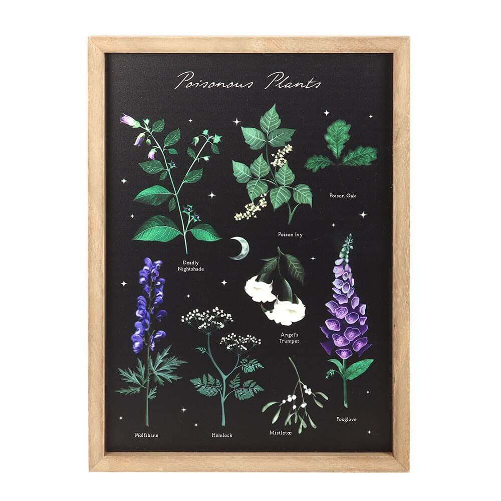 Gothic Gifts Poisonous Plants Framed Wall Art Print