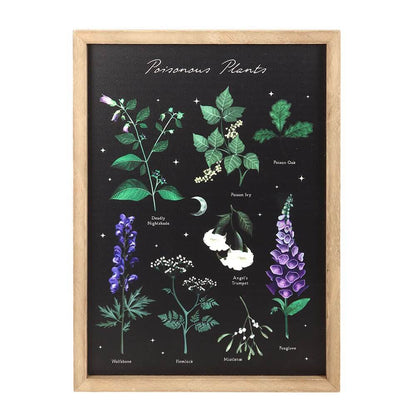 Gothic Gifts Poisonous Plants Framed Wall Art Print