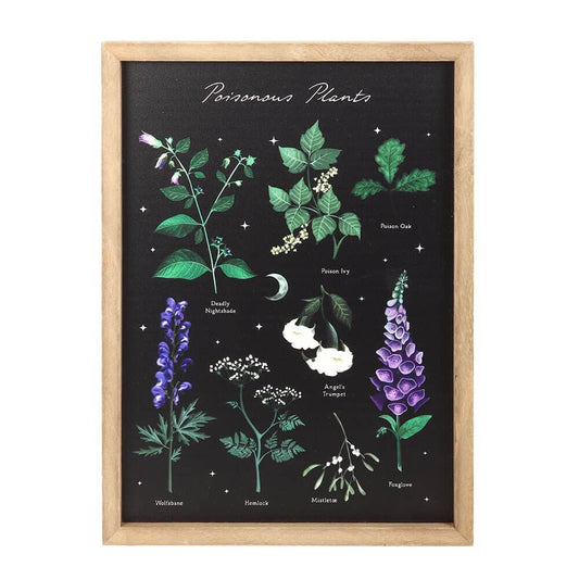 Gothic Gifts Poisonous Plants Framed Wall Art Print