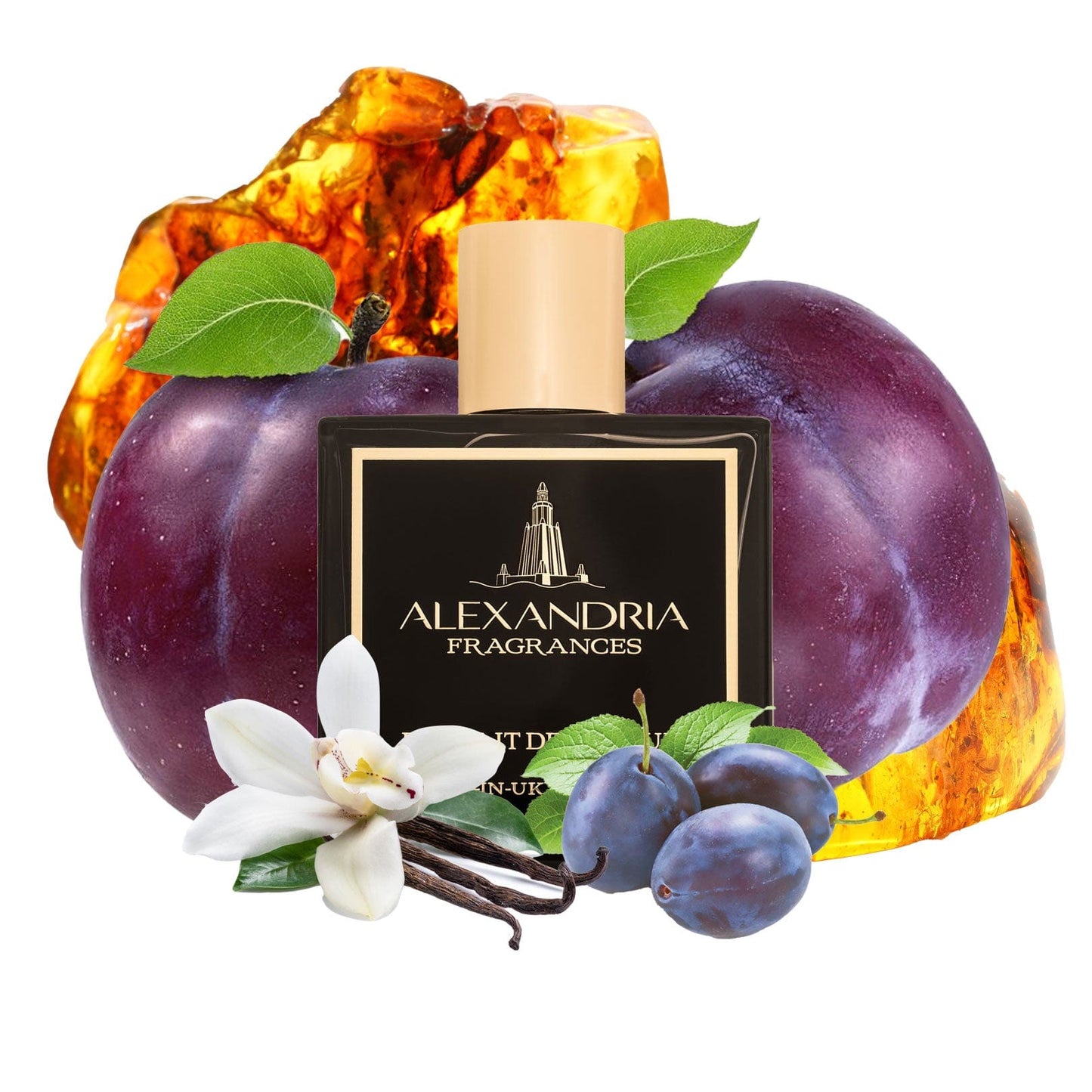 Forbidden Plum Inspired By Tom Ford's Plum Japonais