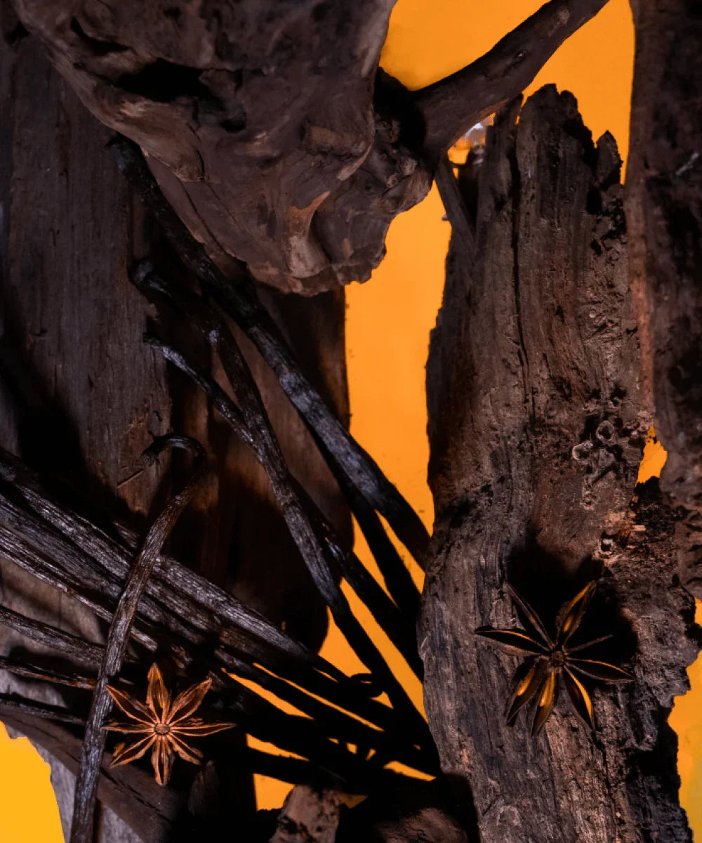 Oud Bourbon 100ml Eau de Parfum