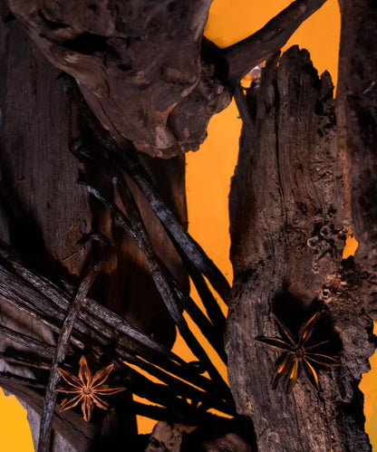 Oud Bourbon 100ml Eau de Parfum