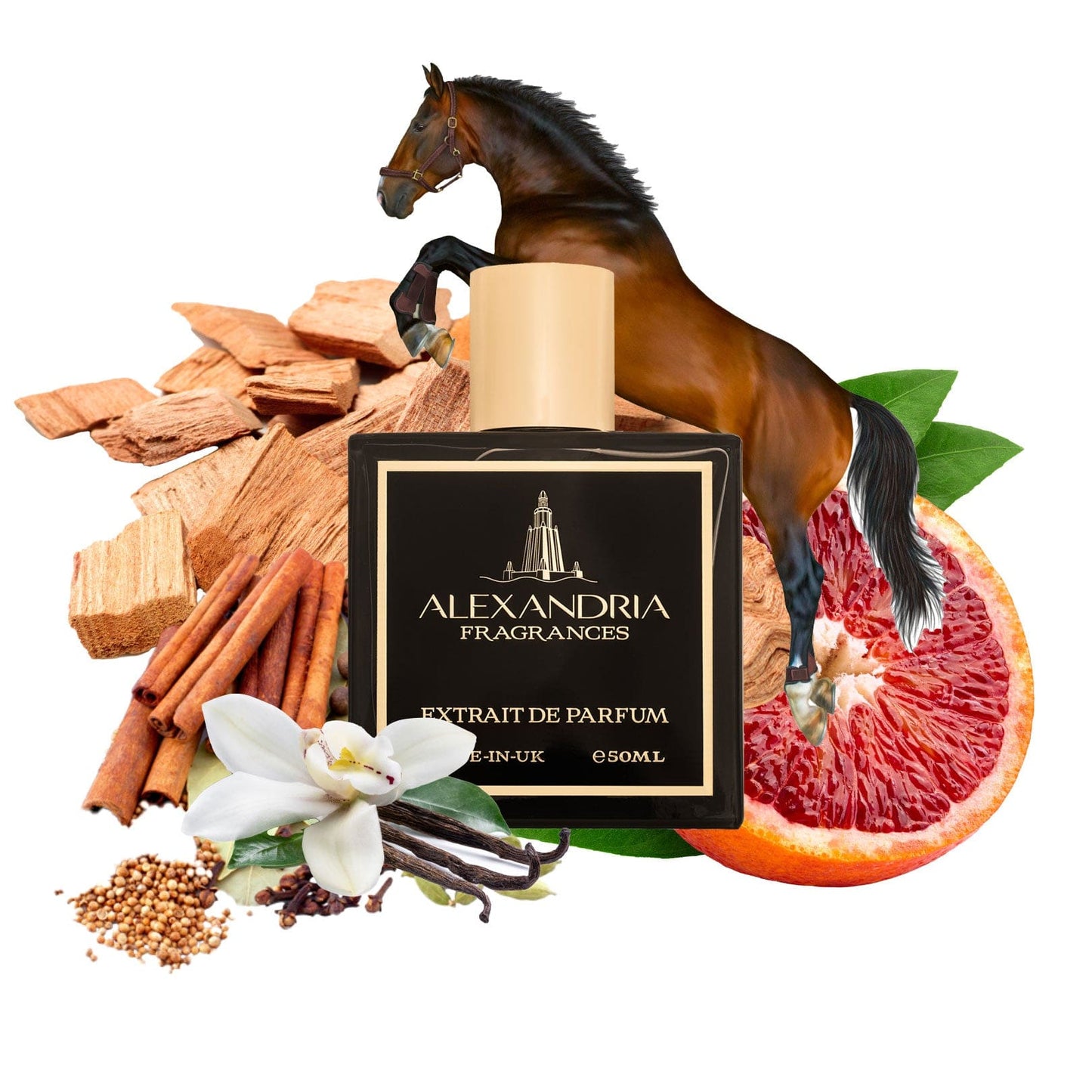 Red Stallion Inspired By PDM Kalan