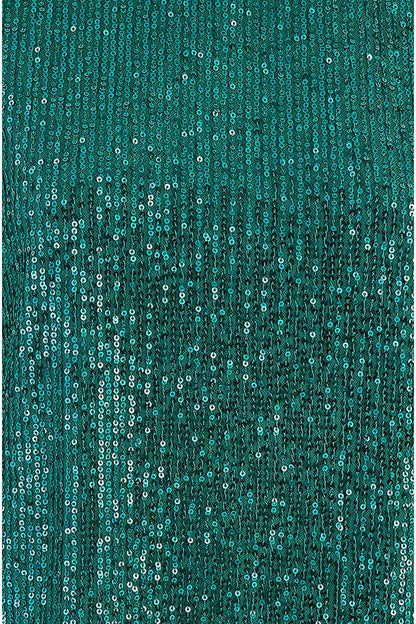 Yumi Green Sequin Top With Sheer Sleeves