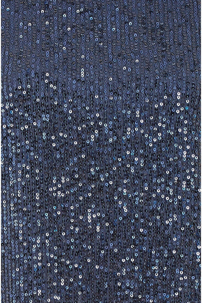 Yumi Navy Sequin Top With Sheer Sleeves